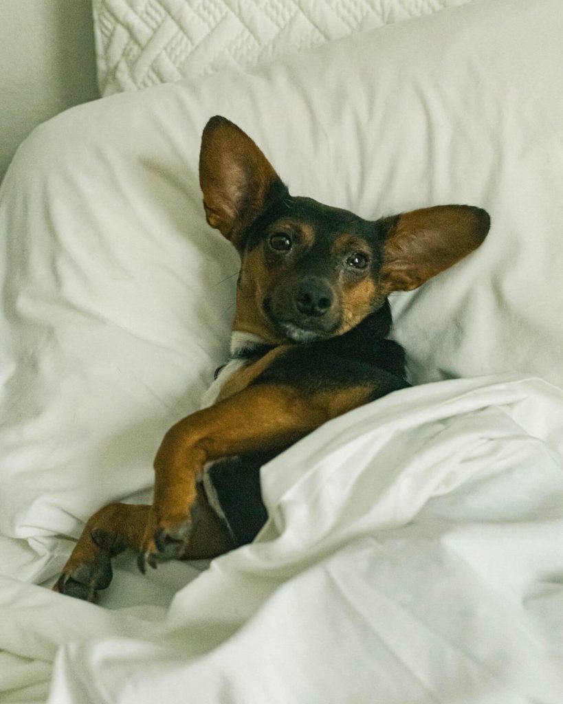 Wohlfühlen im Bett